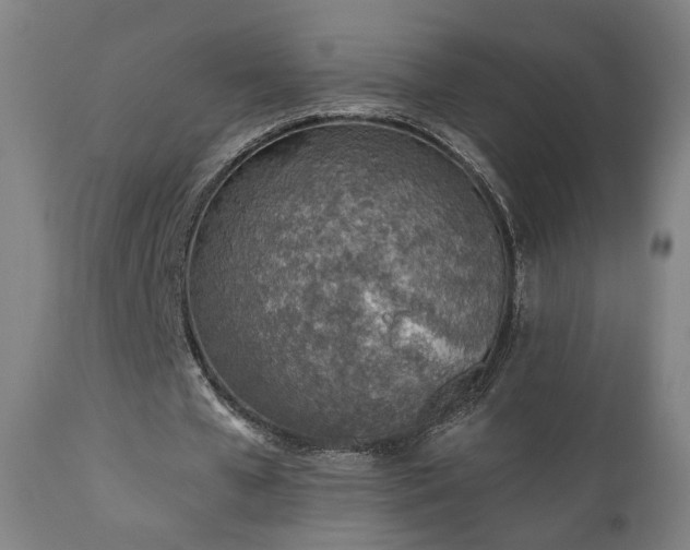 X0000110980577200906191406