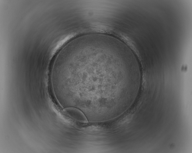 X0000110980578200906191406