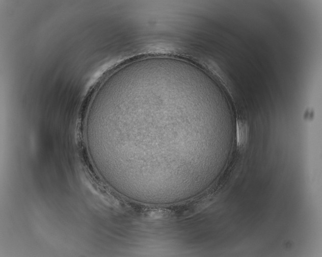 X0000110980579200906191406