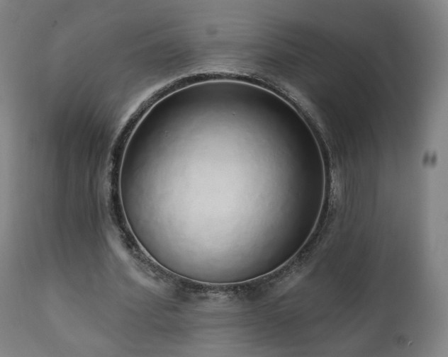 X0000110980580200906191406