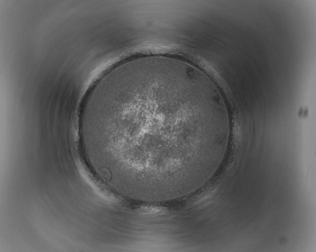 X0000110980582200906191406