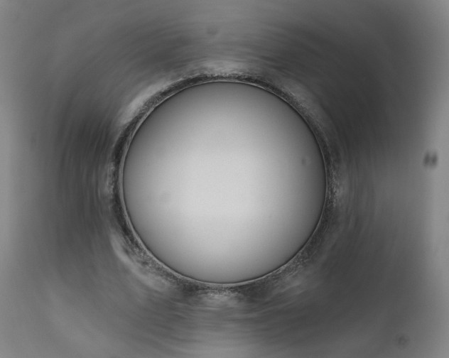 X0000110980583200906191406