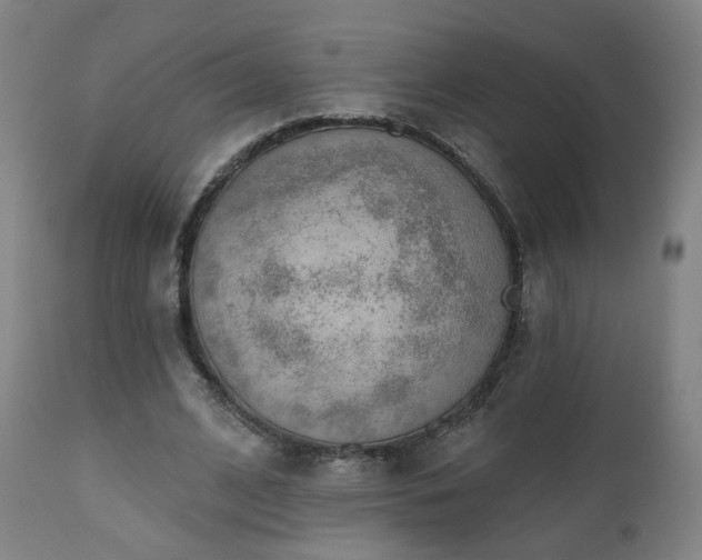 X0000110980584200906191405