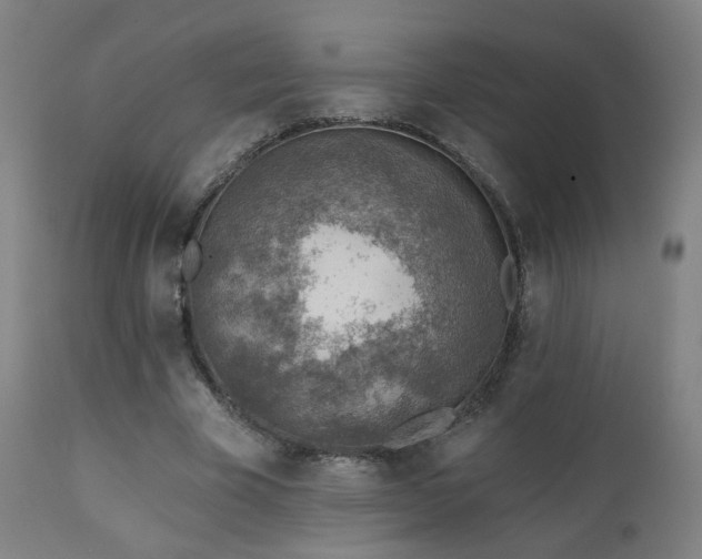 X0000110980585200906191405