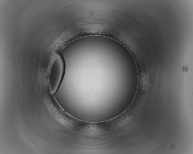 X0000110980589200906191405