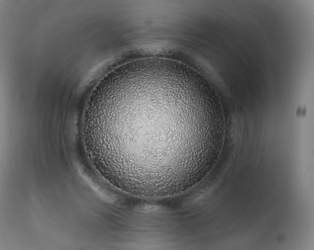 X0000110980590200906191405