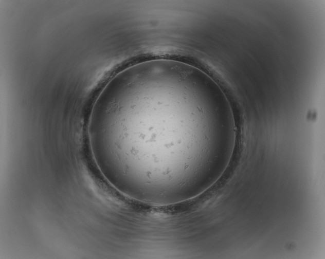 X0000110980592200906191405