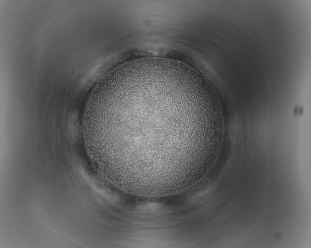 X0000110980594200906191405