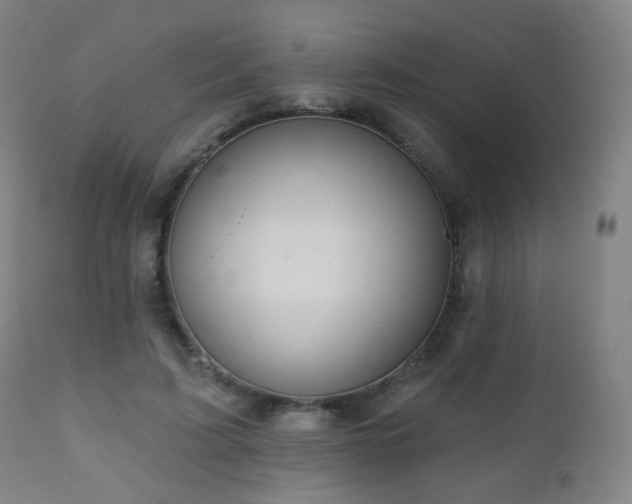 X0000110980595200906191405