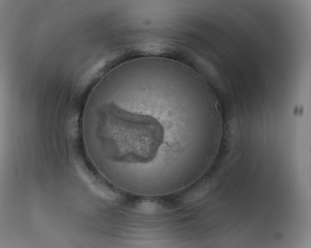 X0000110980596200906191405