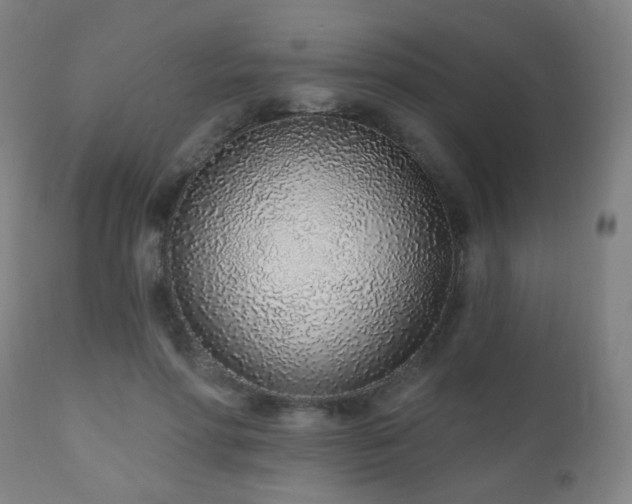 X0000110980598200906191405