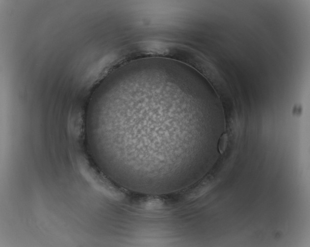 X0000110980600200906191405