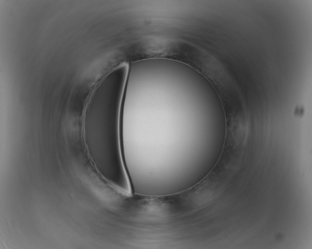 X0000110980601200906191405