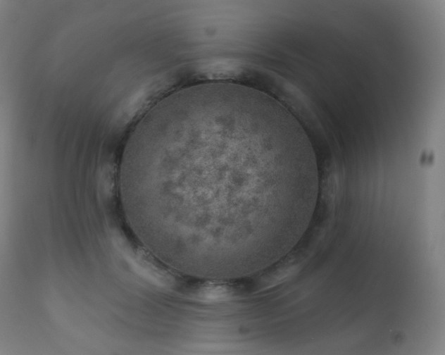 X0000110980604200906191405