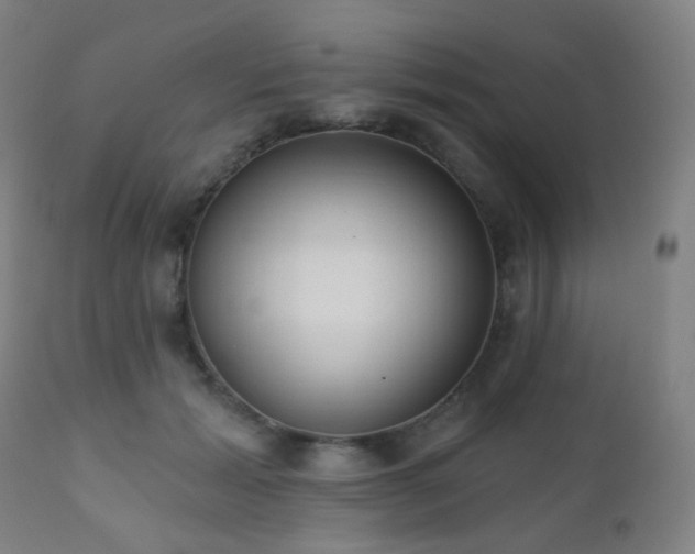 X0000110980605200906191405