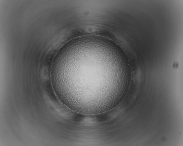 X0000110980606200906191405