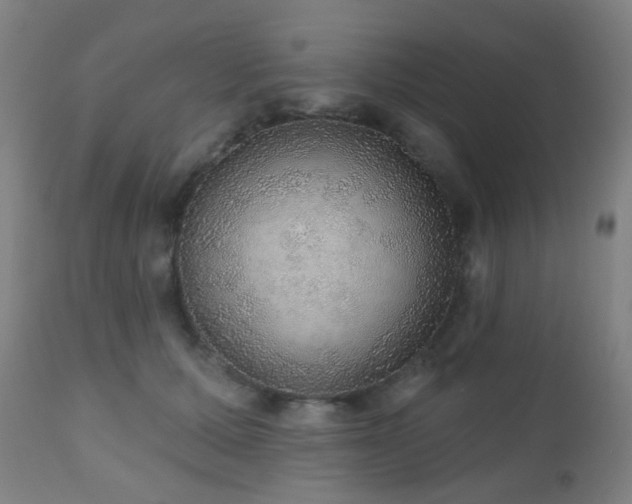 X0000110980607200906191405