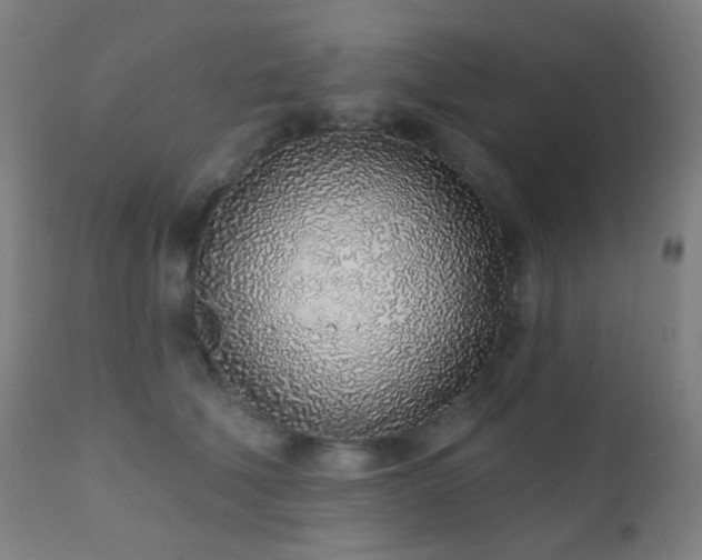 X0000110980610200906191405