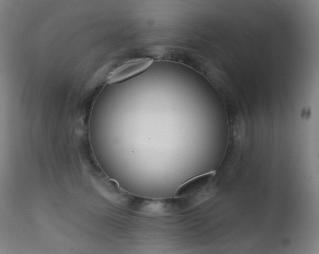 X0000110980611200906191405