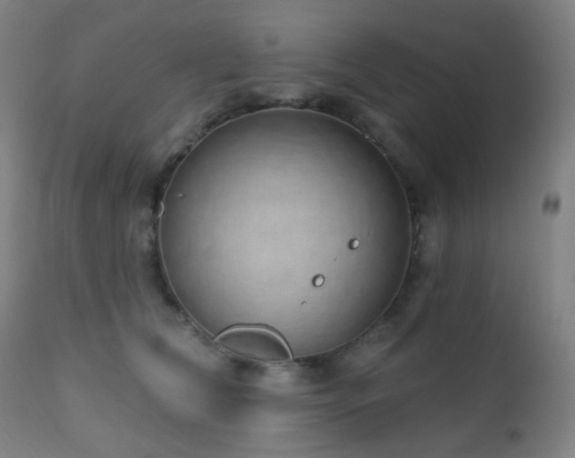 X0000110980612200906191405