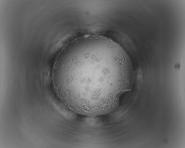 X0000110980615200906191405