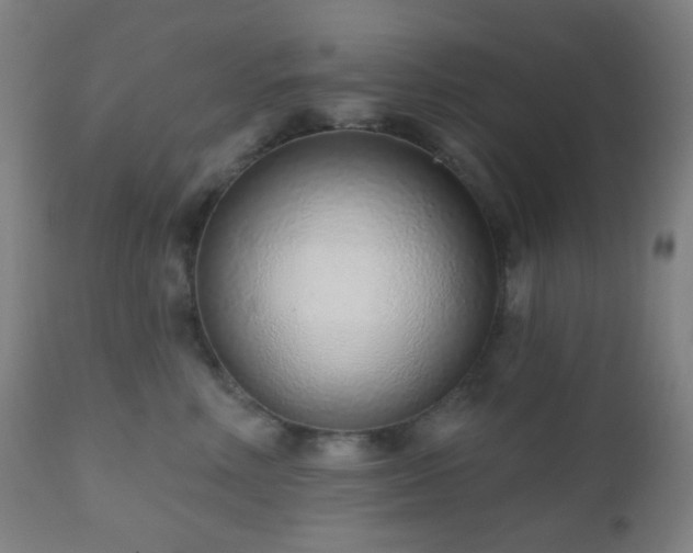 X0000110980618200906191405