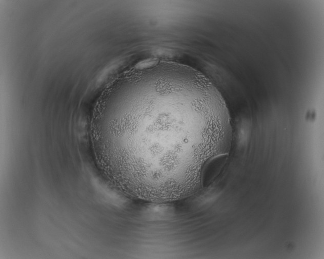 X0000110980619200906191405