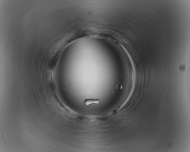 X0000110980621200906191405