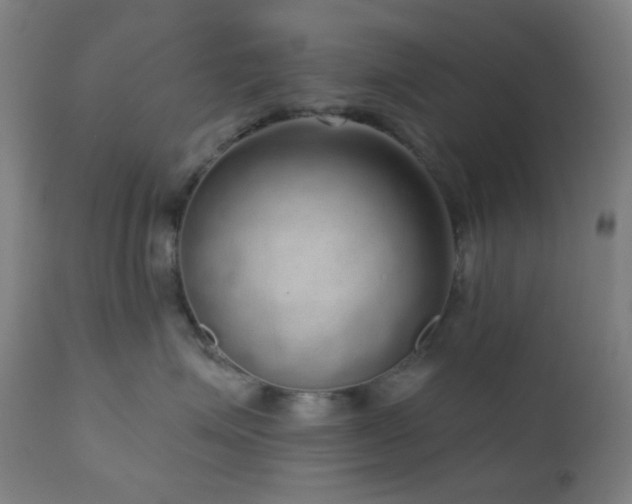 X0000110980623200906191405