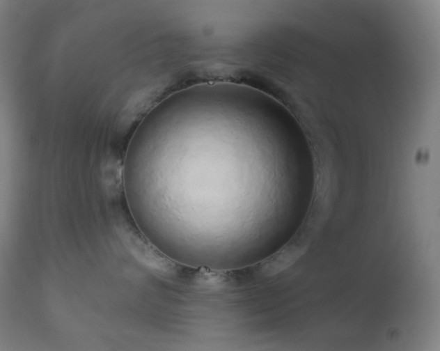 X0000110980624200906191405