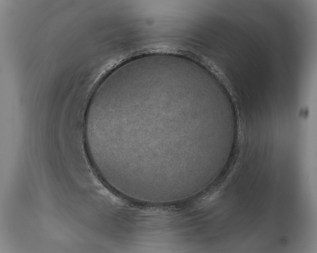 X0000110980625200906191404