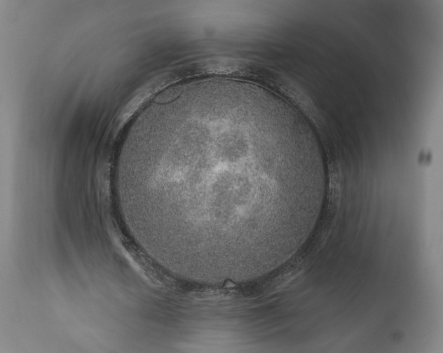 X0000110980626200906191404