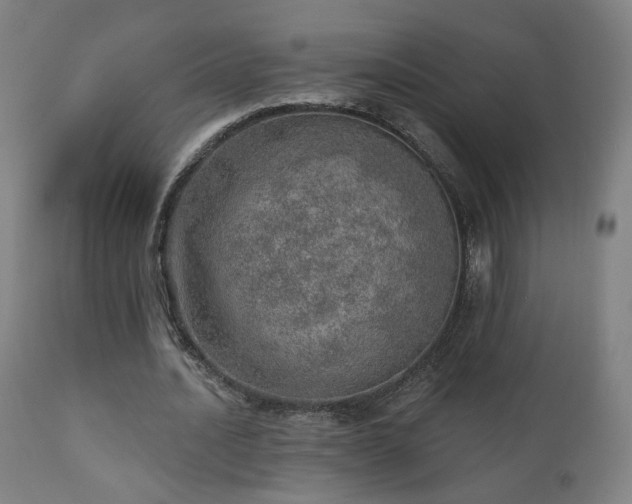 X0000110980628200906191404