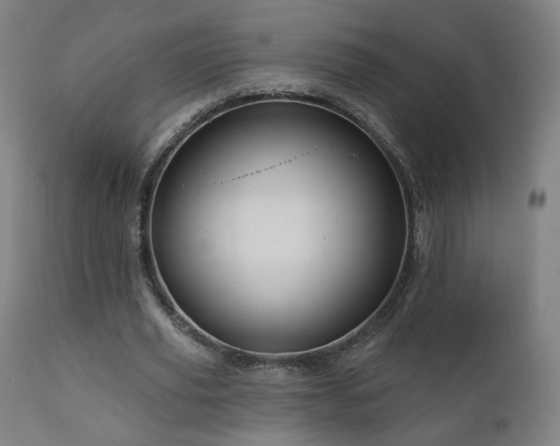 X0000110980629200906191404