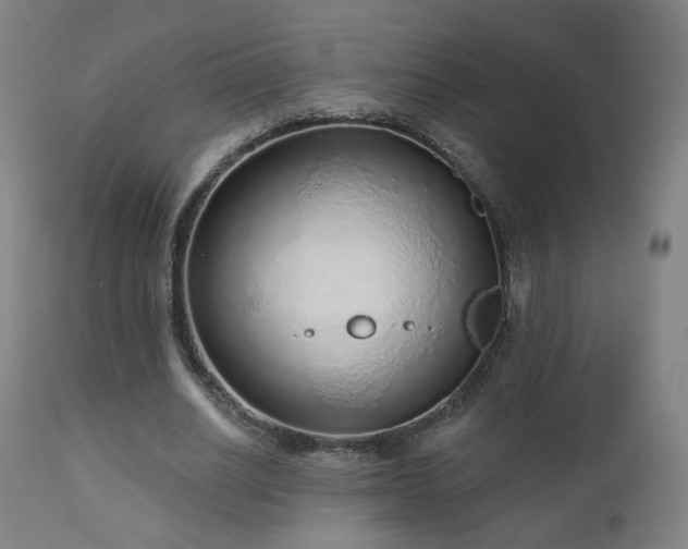 X0000110980630200906191404