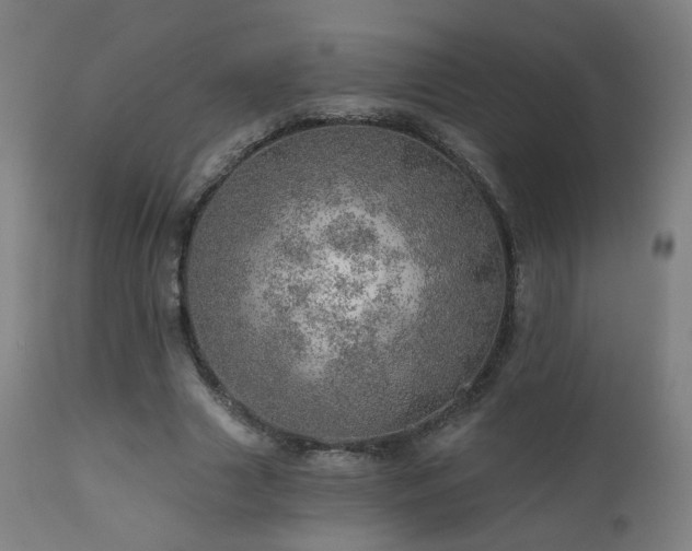 X0000110980633200906191404