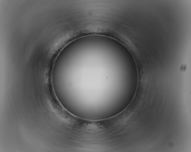 X0000110980635200906191404