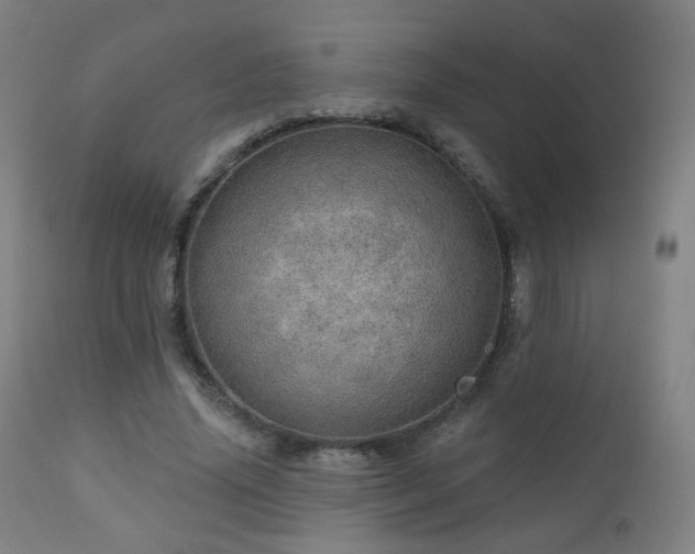 X0000110980636200906191404