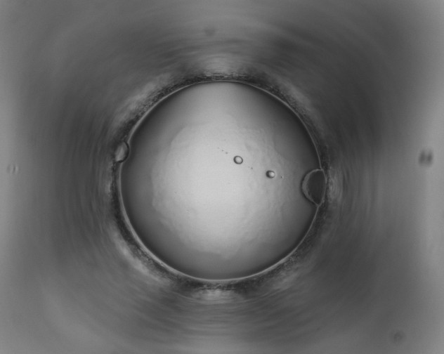 X0000110980637200906191404