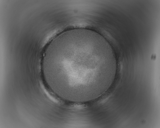 X0000110980638200906191404