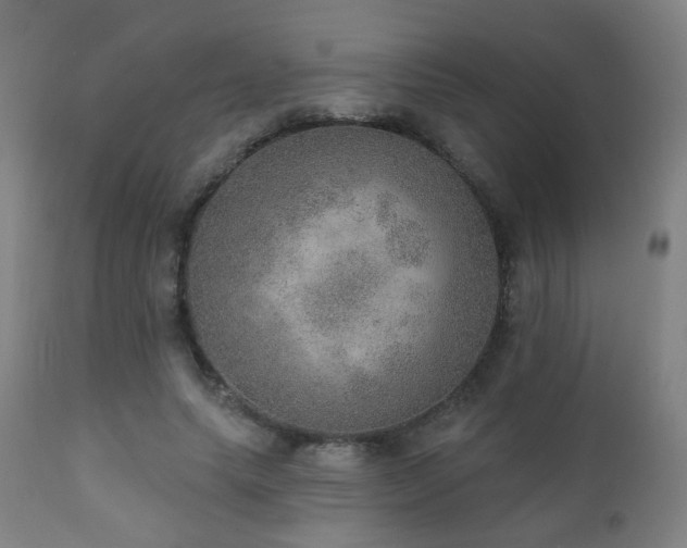 X0000110980639200906191404