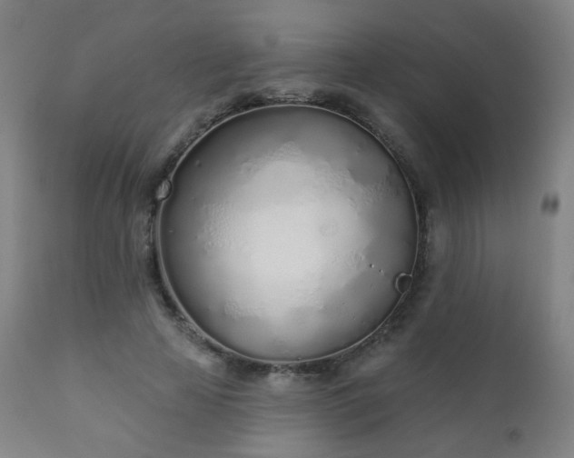 X0000110980641200906191404