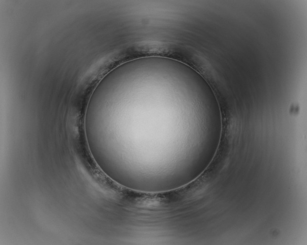 X0000110980643200906191404