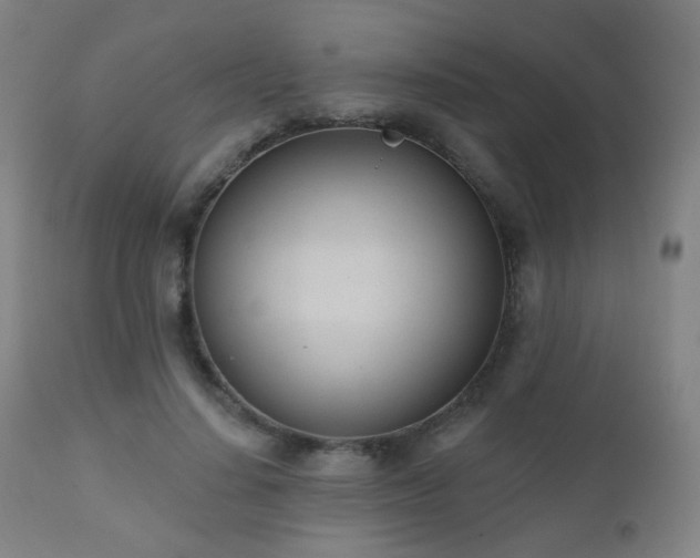 X0000110980644200906191404