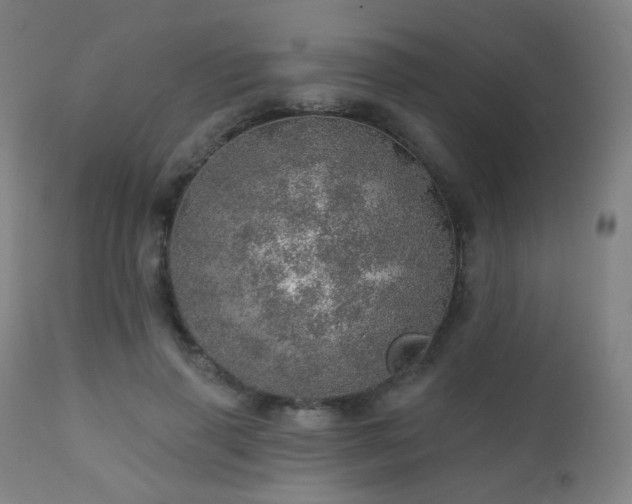 X0000110980645200906191405