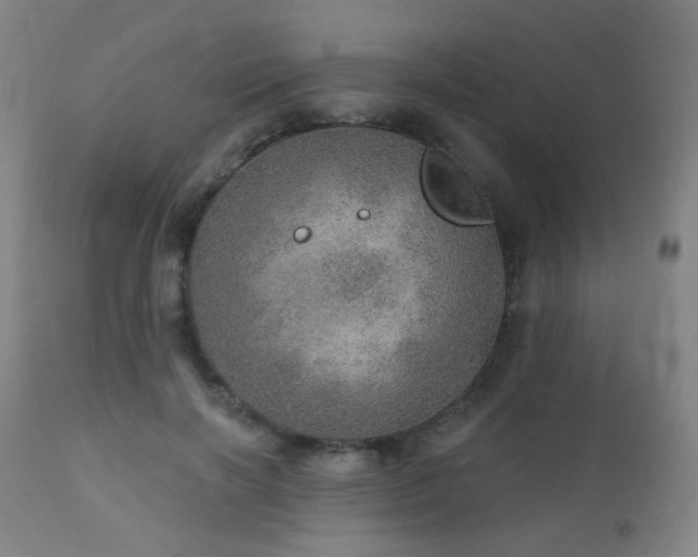 X0000110980646200906191405