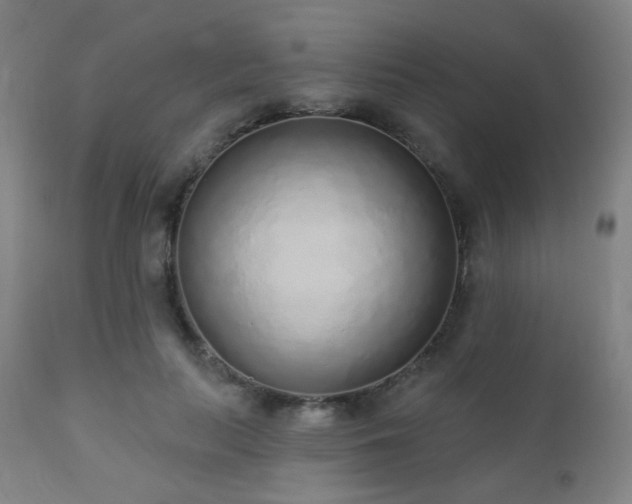 X0000110980647200906191405