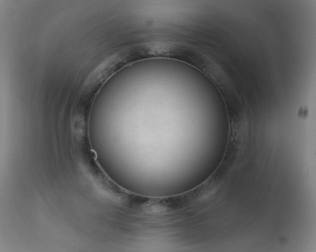 X0000110980648200906191405