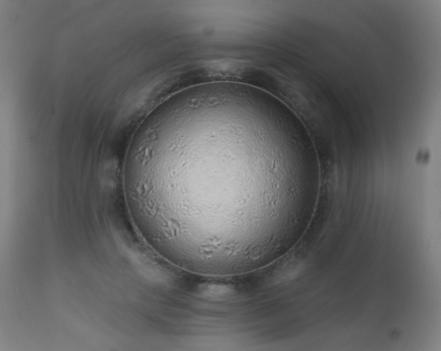 X0000110980649200906191405