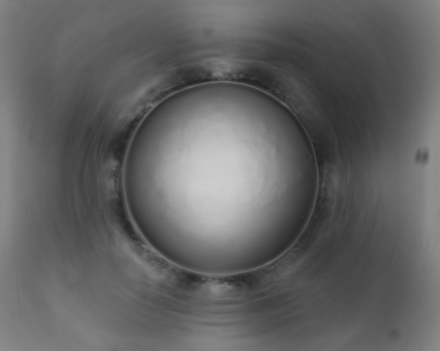 X0000110980650200906191405